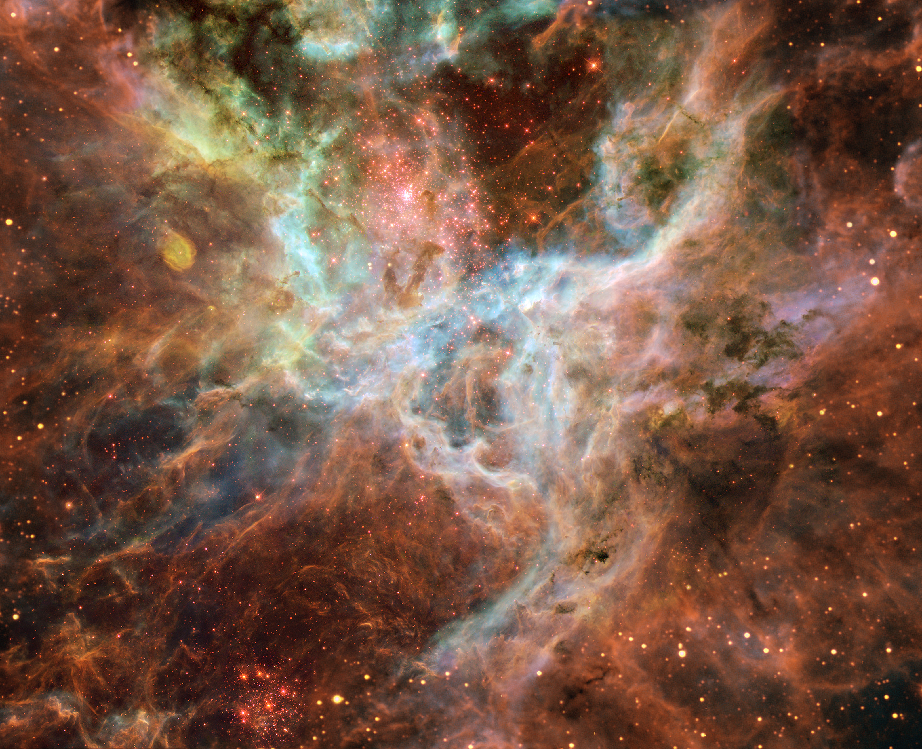 In the Heart of the Tarantula Nebula