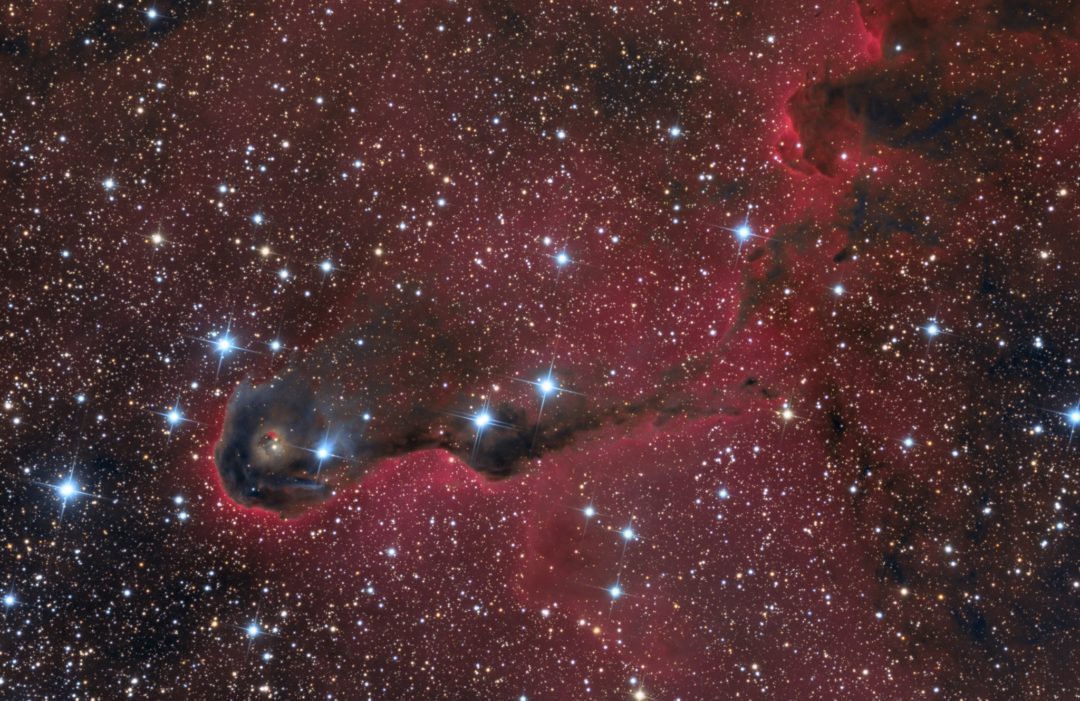 Nebula #16 The Elephant’s Trunk Nebula in Cepheus. Image Credit & Copyright: Stephen Leshin.